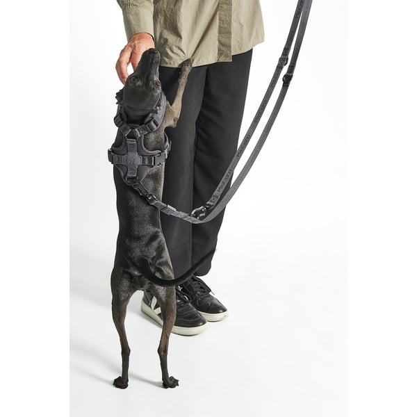 Zöld kapcsos póráz hosszúság 200 cm Modena Grolive 25 mm – MiaCara-image-3