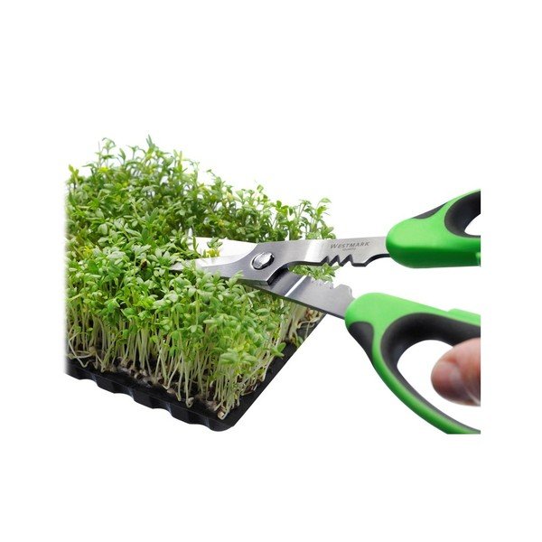 Herby fűszernövény vágó olló - Westmark-image-3