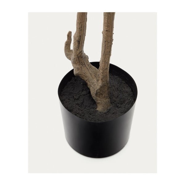 Műnövény (magasság 214 cm) Enkianthus – Kave Home-image-3