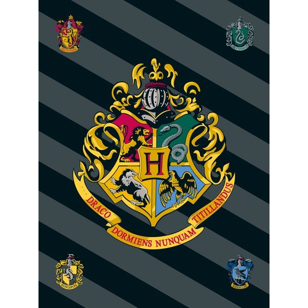 Fleece gyerek takaró 100x150 cm Harry Potter – Jerry Fabrics