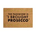 Kókuszrost lábtörlő 40x60 cm Prosecco – Premier Housewares