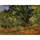 Claude Monet - The Bodmer Oak, Fontainebleau Forest kép másolat, 70 x 50 cm