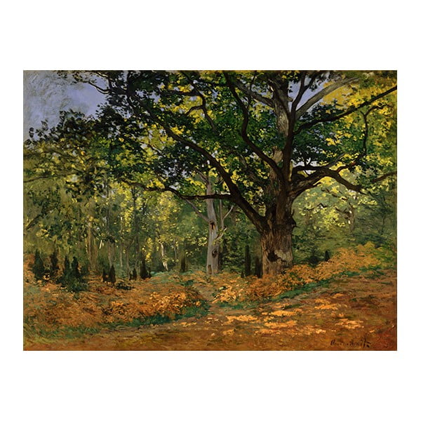Claude Monet - The Bodmer Oak, Fontainebleau Forest kép másolat, 70 x 50 cm