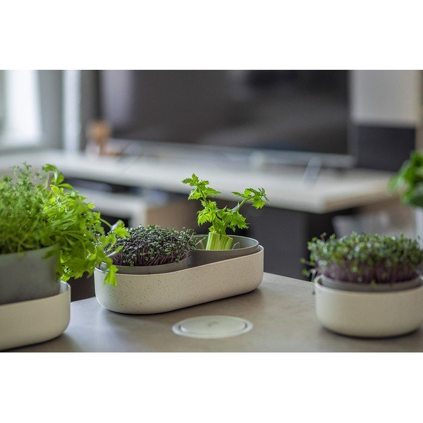 Műanyag csíráztató tálka Microgreens + Regrow – Plastia-image-2