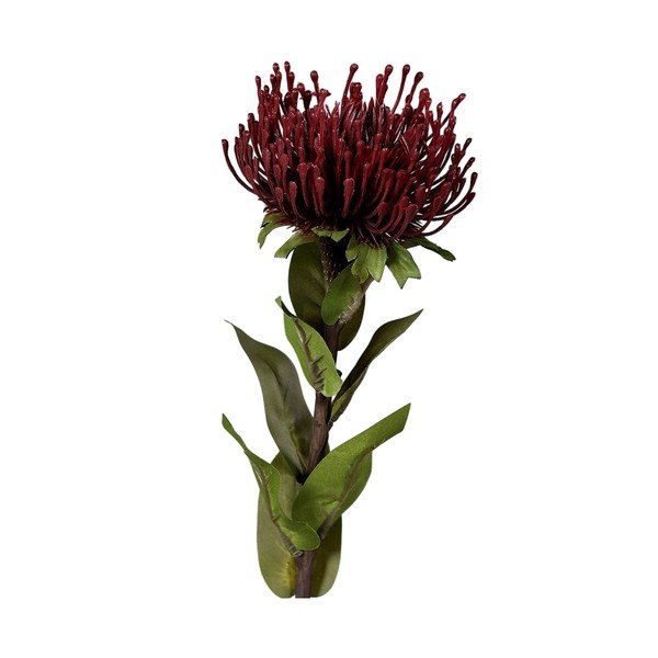 Művirág (magasság 74 cm) Protea – Ego Dekor