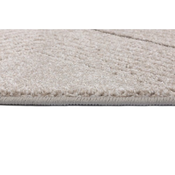Krémszínű szőnyeg 240x330 cm Lori – FD-image-3