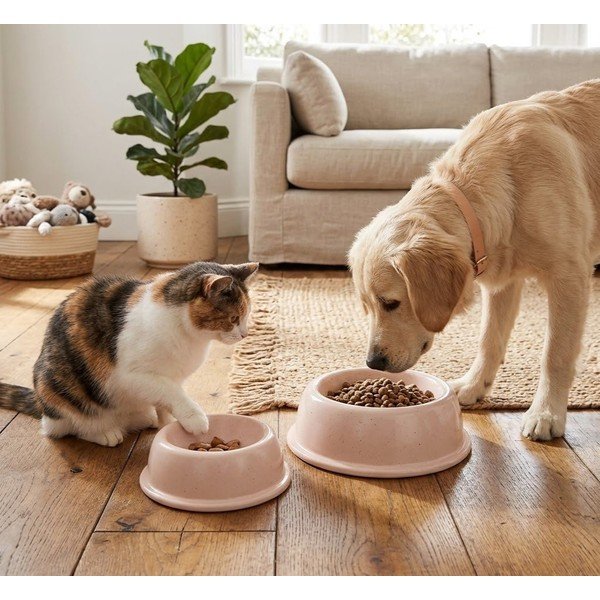 Agyagkerámia tálka kisállatoknak ø 21 cm – Casafina-image-1