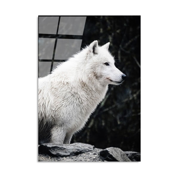 Üveg kép 70x100 cm White Wolf – Wallity