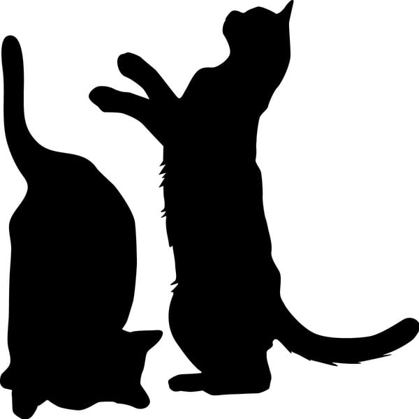 Cute Cats 2 db falmatrcia - Ambiance-image-1