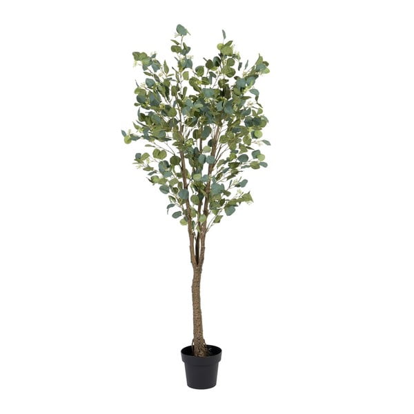 Eukaliptusz műnövény (magasság 173 cm) Eucalyptus – Ixia