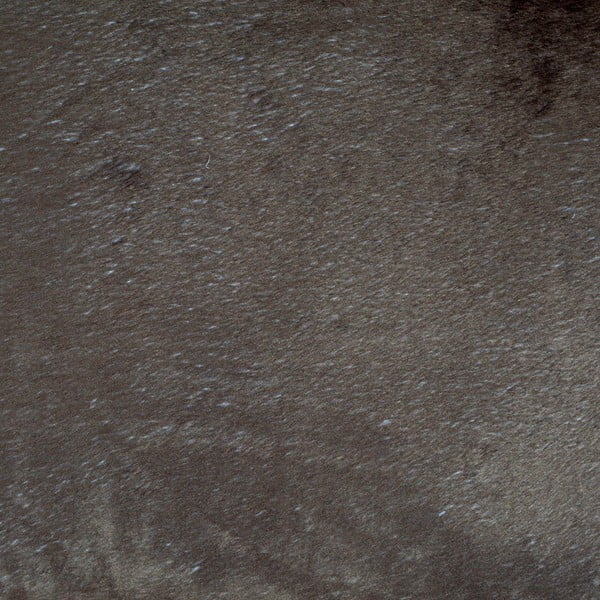 Világosbarna fekhely kutyáknak ø 50 cm – Love Story-image-4