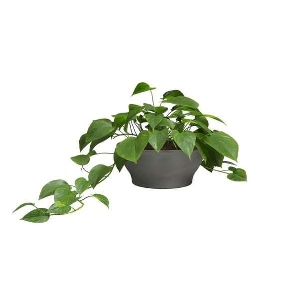 Terrakotta virágcserép ø 23 cm Saramago – Artevasi-image-1