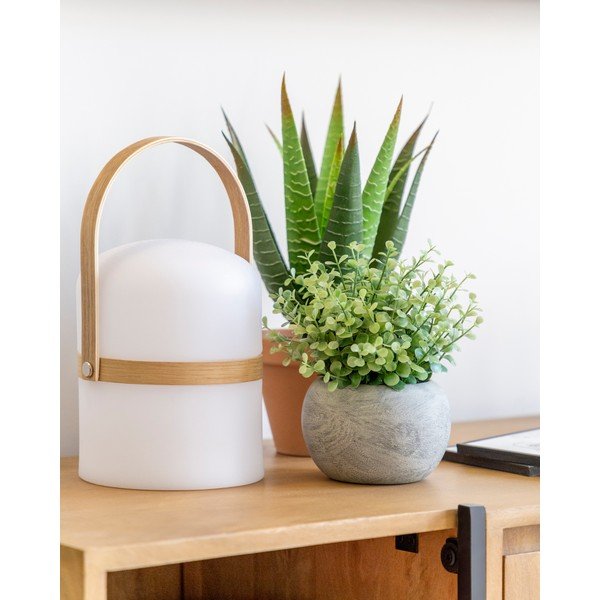 Mű eukaliptusz kaspóban - Kave Home-image-2