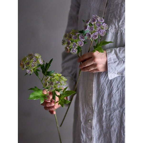 Műnövény (magasság 49 cm) Throatwort – Bloomingville-image-1