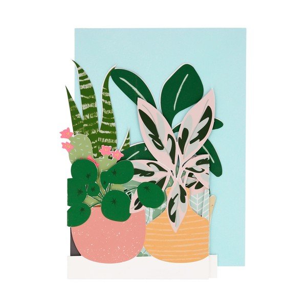 Üdvözlőlap Potted Plant – Meri Meri-image-1