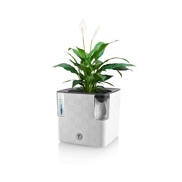 Műanyag önöntözős  virágcserép fűszernövényekhez Cobble – Flower Lover-image-2