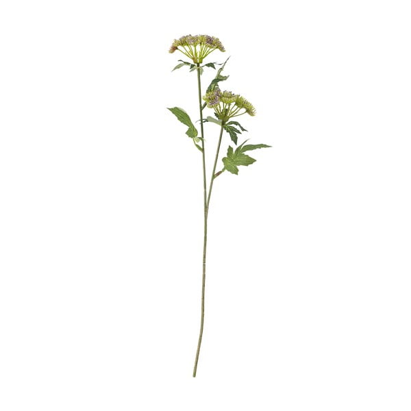 Műnövény (magasság 49 cm) Throatwort – Bloomingville