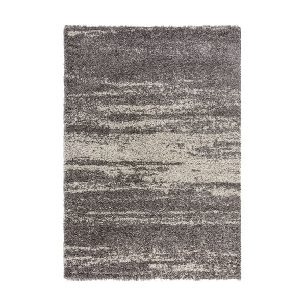Reza szürke szőnyeg, 120 x 170 cm - Flair Rugs