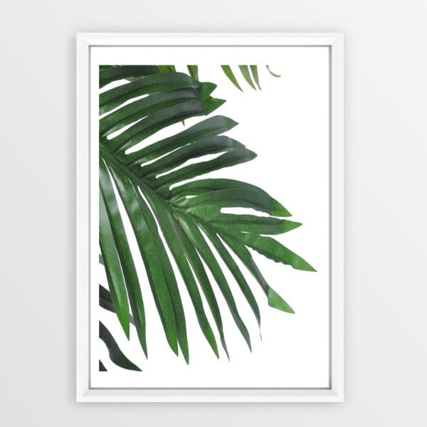 Palm keretezett plakát, 30 x 20 cm - Piacenza Art