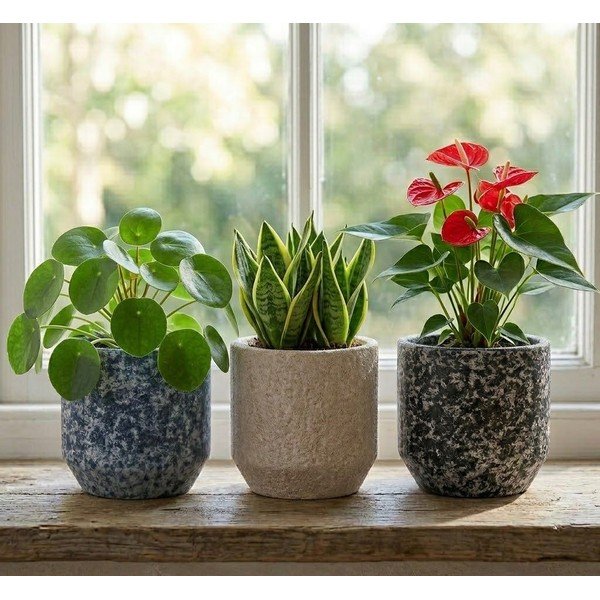 Kerámia kézzel készített kaspó ø 14 cm Almada – Ego Dekor-image-1