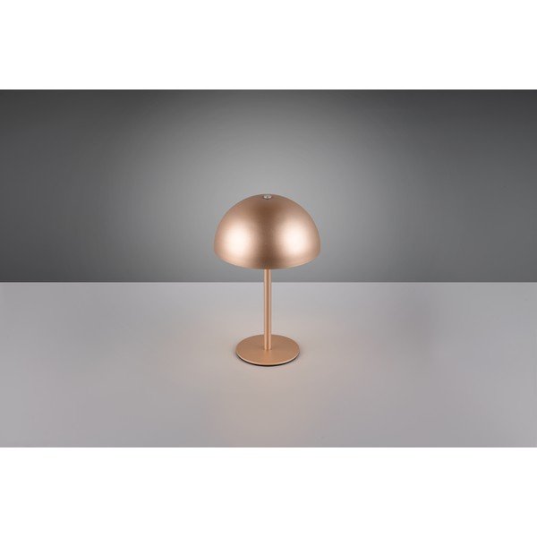 Bronzszínű LED asztali lámpa fém búrával (magasság 21 cm) Munoz – Reality-image-2