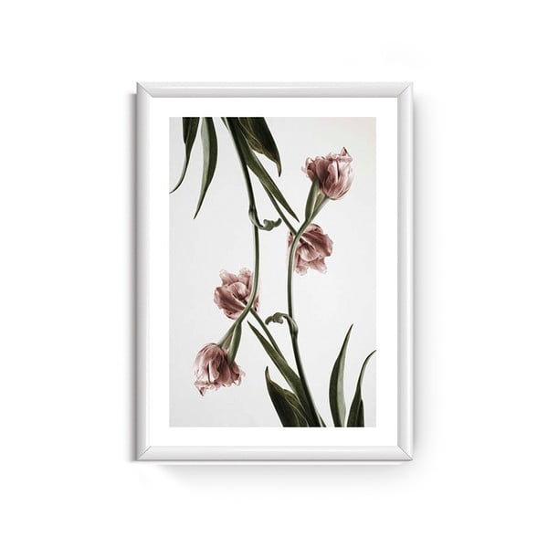 Dendrobium kép, 30 x 20 cm - Piacenza Art