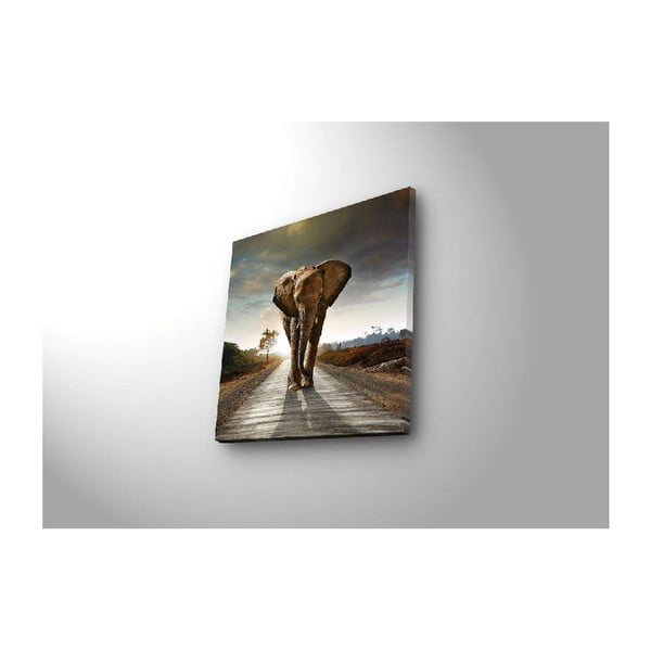 Elephant fali kép háttérvilágítással, 28 x 28 cm