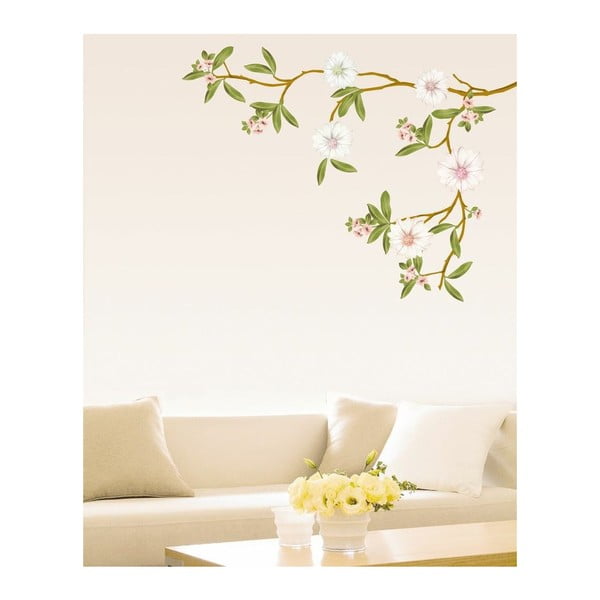 Flowering Magnolia falmatrica szett - Ambiance-image-2