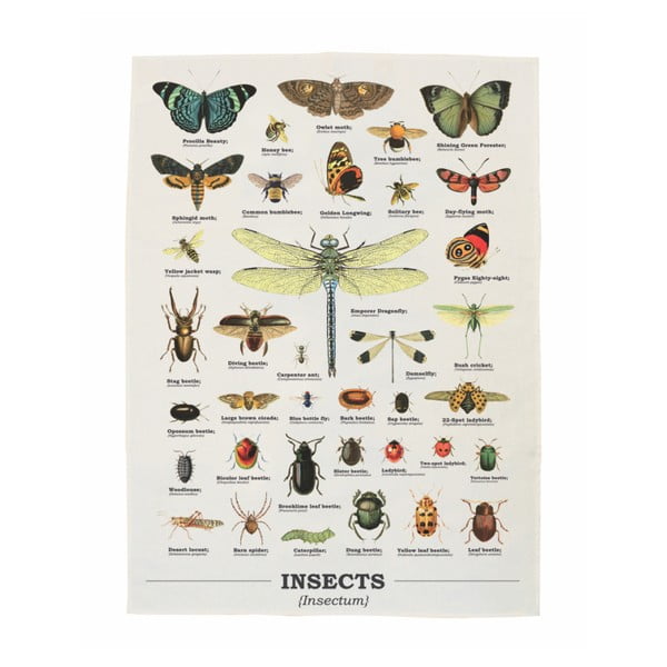 Insects pamut konyharuha, 50 x 70 cm - Gift Republic