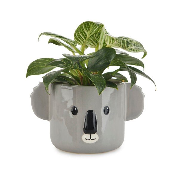 Kerámia virágcserép ø 13,5 cm Koala – Balvi-image-1