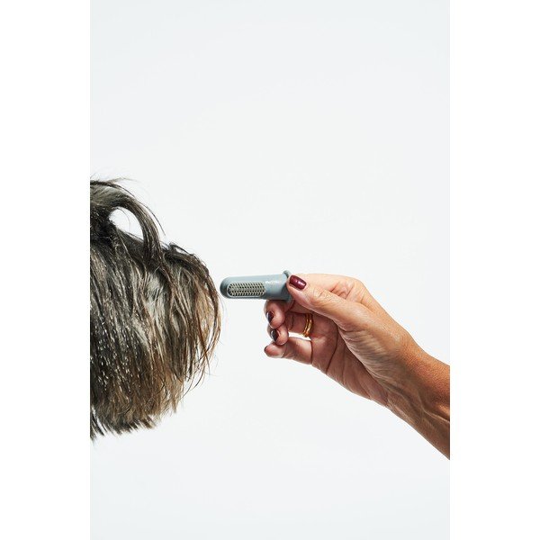 Kisállat fogkefe szett Dito – MiaCara-image-4