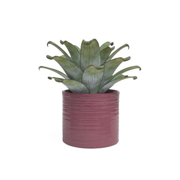 Kerámia kézzel készített kaspó ø 25 cm Fortuna – Artevasi