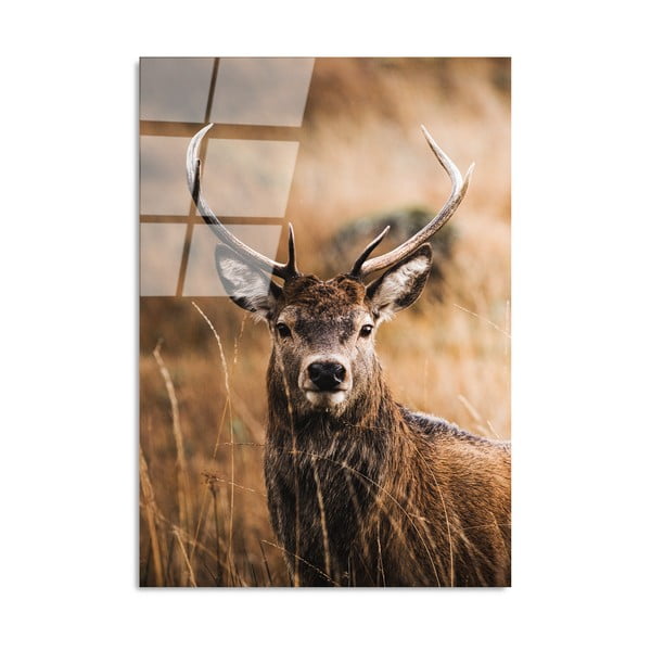 Üveg kép 70x100 cm Deer – Wallity