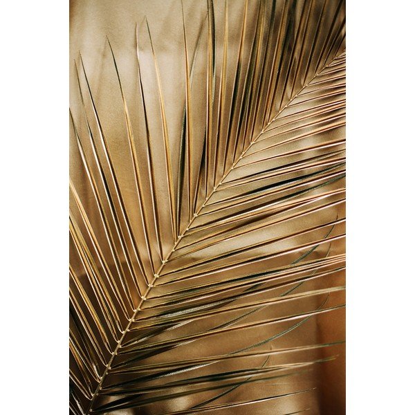Nyomtatott üveg kép 80x120 cm Gold Palm  – Styler