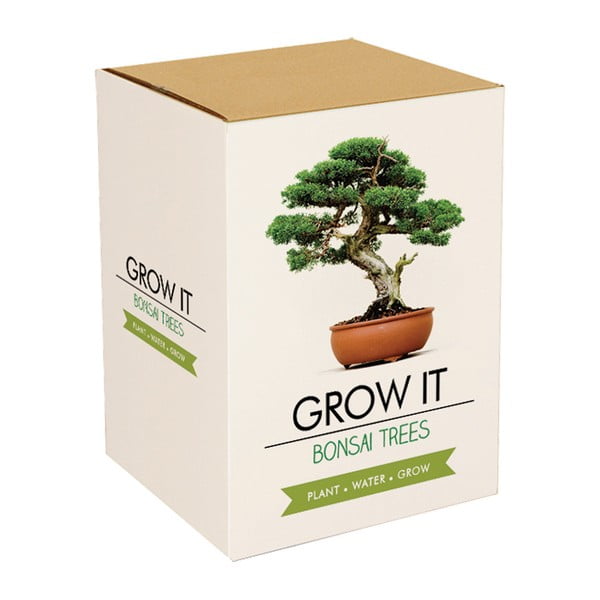 Bonsai Trees növénytermesztő készlet bonszai magokkal - Gift Republic