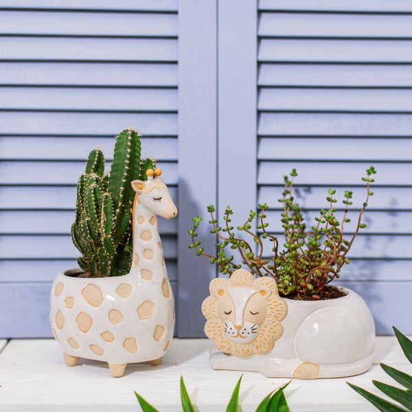 Leo Lion fehér-bézs kaspó, ø 7 cm - Sass & Belle-image-1