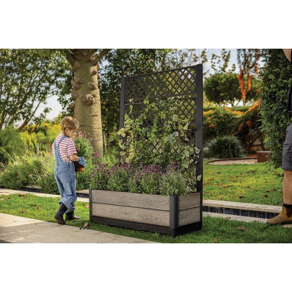 Magaságyás Deco – Keter-image-1