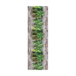 Aromatica barna-zöld futószőnyeg, 58 x 115 cm - Floorita