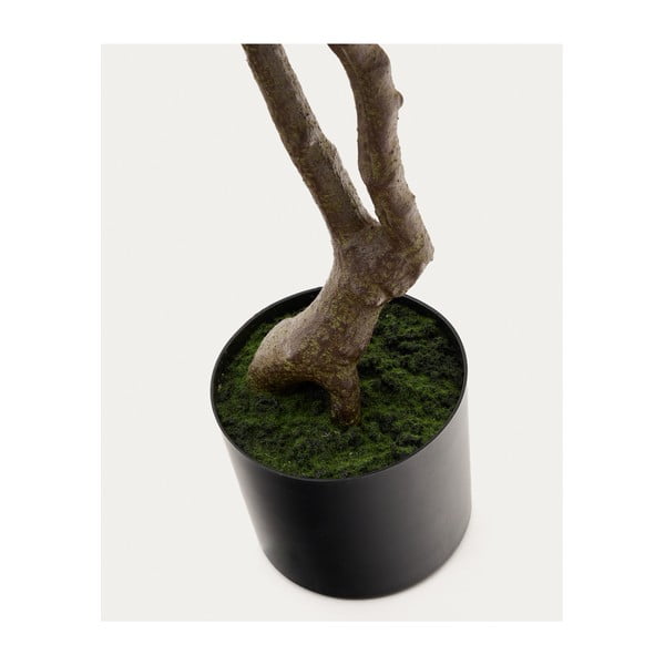 Műnövény (magasság 180 cm) Pachira – Kave Home-image-3