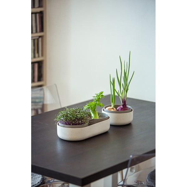 Csíráztató tálka, ø 16 cm Regrow - Plastia-image-3