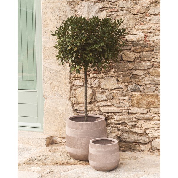 Beton kaspó szett 2 db-os ø 50 cm Tival – Kave Home-image-2