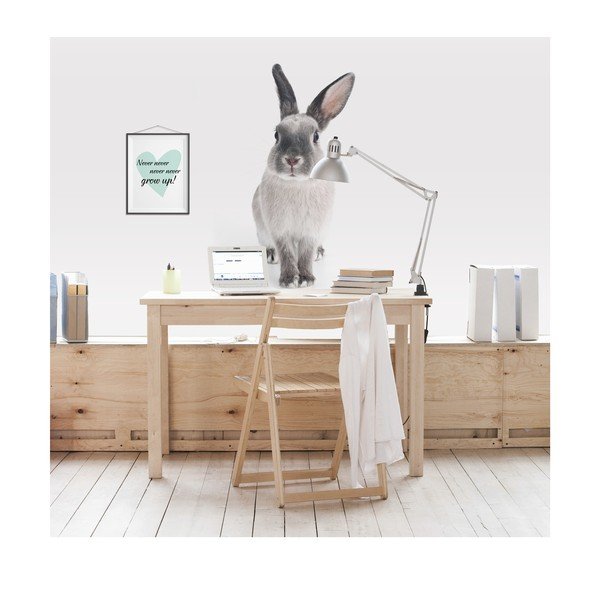 Rabbit Harry falmatrica, 53 x 115 cm - Dekornik-image-2