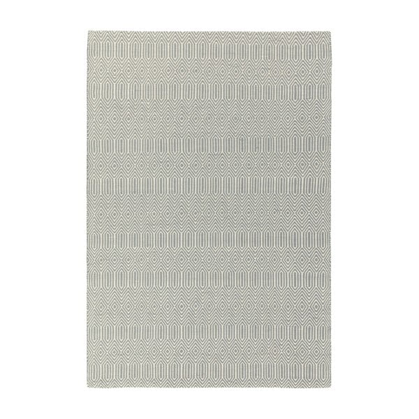 Világosszürke gyapjú szőnyeg 120x170 cm Sloan – Asiatic Carpets