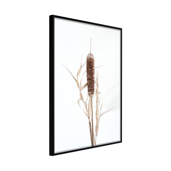 Typha poszter keretben, 40 x 60 cm - Artgeist