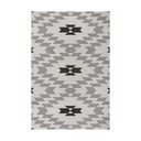 Geo fekete-fehér kültéri szőnyeg, 160x230 cm - Ragami
