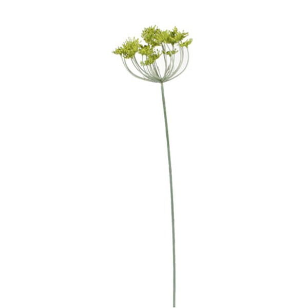 Művirág, zöld ánizs, magassága 60 cm - Ego Dekor