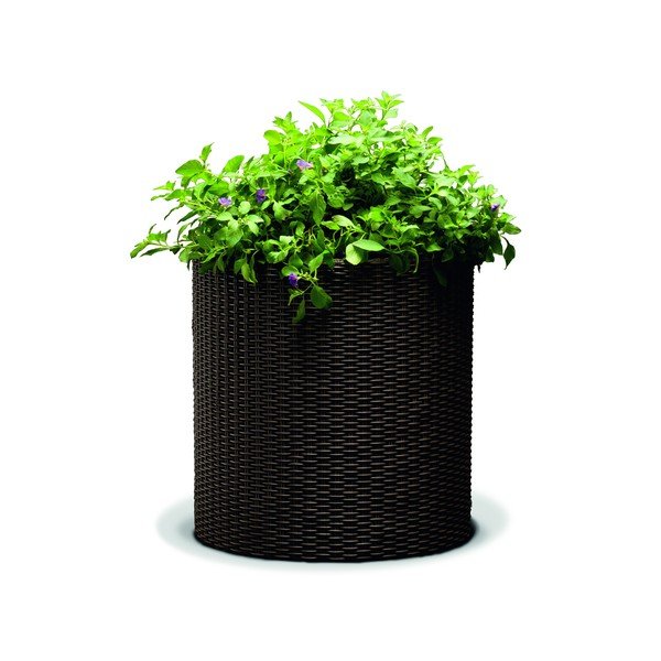 Planter barna virágcserép, ø 35 cm - Keter-image-1