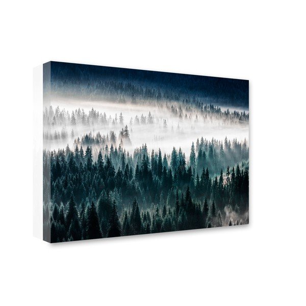 Glasspik Misty Forest kép, 80 x 120 cm - Styler-image-1