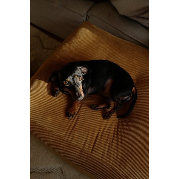 Világosbarna puff More – Karup Design-image-4