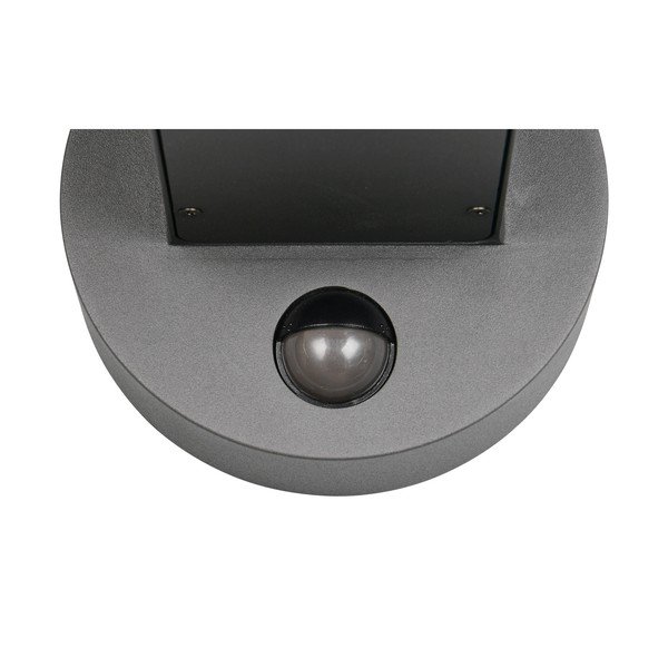 Fali kültéri lámpa (magasság 24,5 cm) Fraser – Trio-image-3